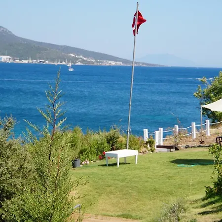 Paradise Bardakci بودروم