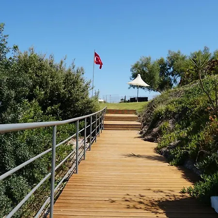 Paradise Bardakci بودروم