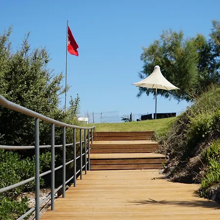 Paradise Bardakci بودروم