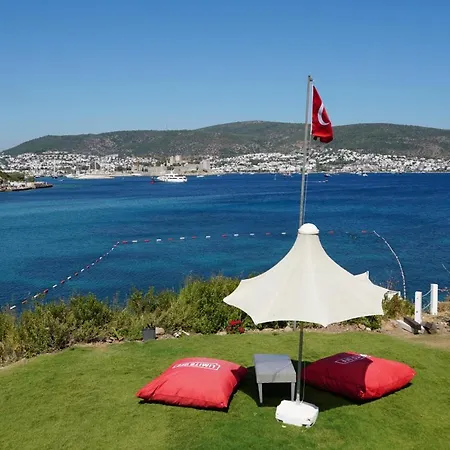 Paradise Bardakci