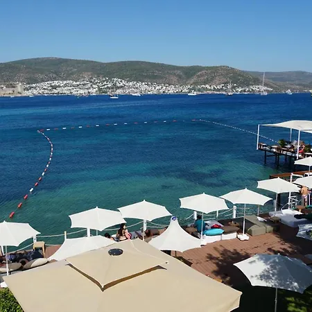 Hotel Paradise Bardakci 5*